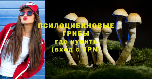 бутират Ладушкин