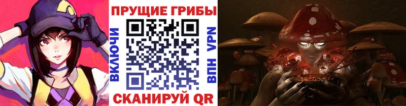 Галлюциногенные грибы ЛСД Михайловск