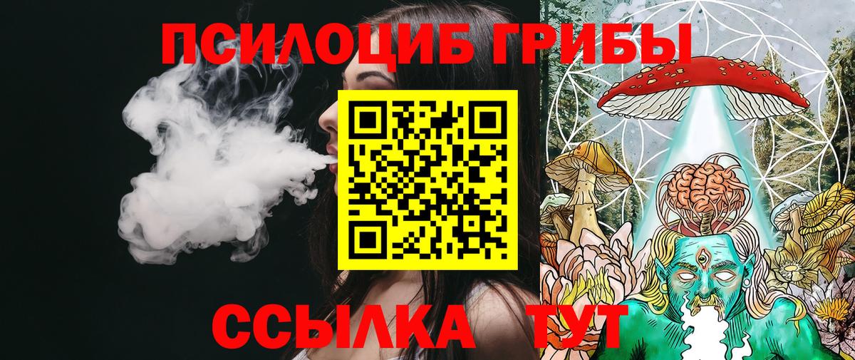 Псилоцибиновые грибы Psilocybine cubensis Михайловск