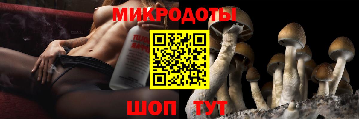 Михайловск  Галлюциногенные грибы ЛСД  Вход с VPN  Псилоцибиновые грибы мухоморы 